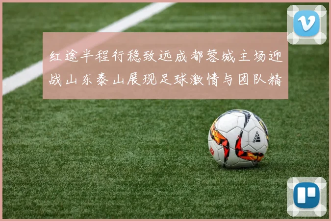 红途半程行稳致远成都蓉城主场迎战山东泰山展现足球激情与团队精神