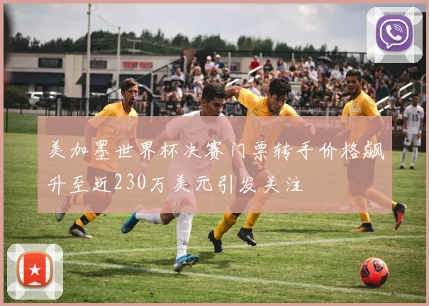 美加墨世界杯决赛门票转手价格飙升至近230万美元引发关注